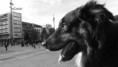 /album/photographfeerique/a1276324-642745042412930-990636217-o-jpg/